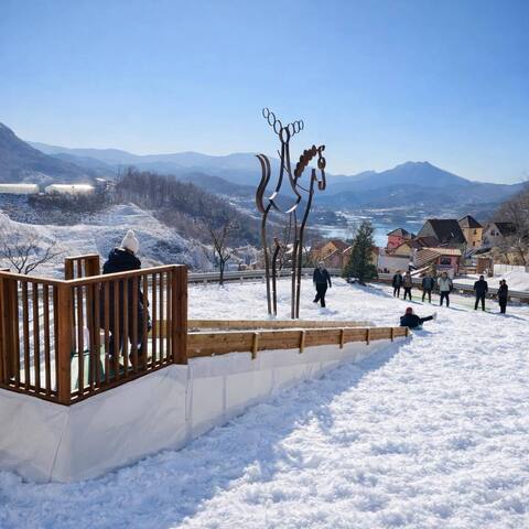 Free Sledding Area