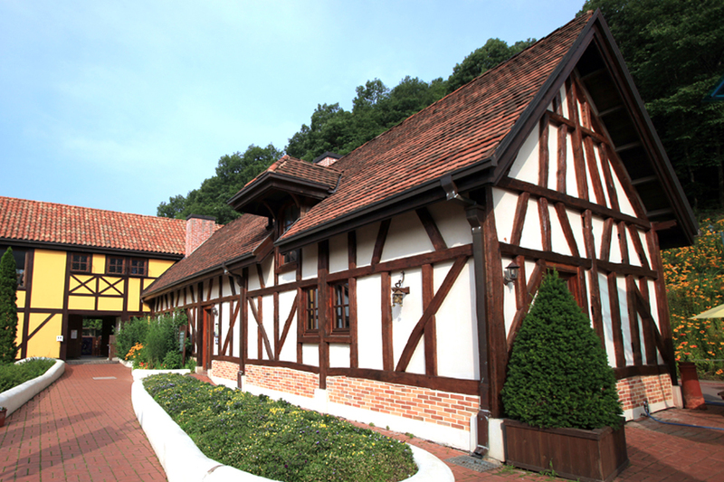  French traditional house exhibition hall