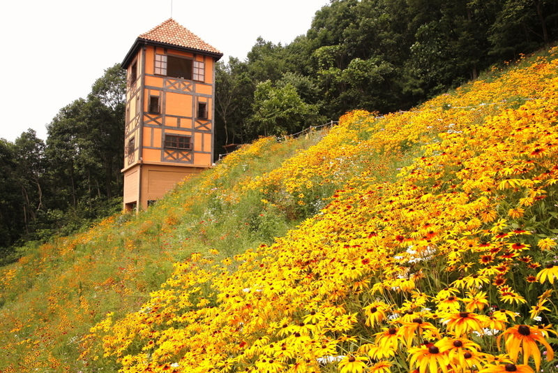  Observatory